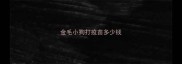 金毛小狗打疫苗多少钱