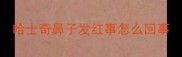 哈士奇鼻子发红事怎么回事