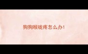 狗狗喉咙疼怎么办
