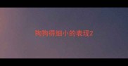 狗狗得细小的表现