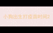 小狗出生打疫苗时间