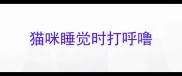 猫咪睡觉时打呼噜
