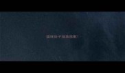 猫咪肚子抽抽咳嗽