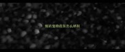 假的宠物疫苗怎么辨别