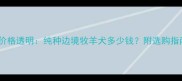 菲凡犬舍边牧价格透明纯种边境牧羊犬多少钱附选购指南与养护建议