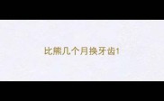 比熊几个月换牙齿
