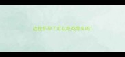 边牧怀孕了可以吃鸡骨头吗