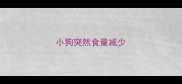 小狗突然食量减少