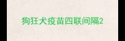 狗狂犬疫苗四联间隔