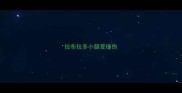 拉布拉多小腿受撞伤