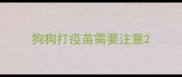 狗狗打疫苗需要注意