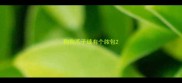 狗狗爪子缝有个脓包