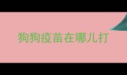 狗狗疫苗在哪儿打
