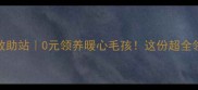 濮阳流浪动物救助站0元领养暖心毛孩这份超全领养指南请收好