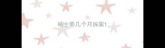 哈士奇几个月拆家