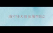 猫打狂犬疫苗痛苦吗