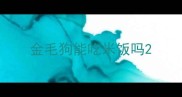 金毛狗能吃米饭吗