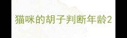 猫咪的胡子判断年龄
