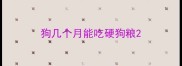 狗几个月能吃硬狗粮