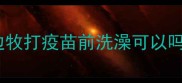 边牧打疫苗前洗澡可以吗
