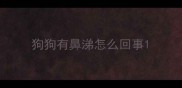 狗狗有鼻涕怎么回事
