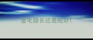 金毛腿长还是短好