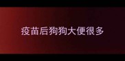 疫苗后狗狗大便很多