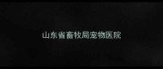 山东省畜牧局宠物医院