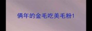 俩年的金毛吃美毛粉