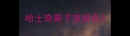 哈士奇鼻子变颜色