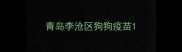 青岛李沧区狗狗疫苗