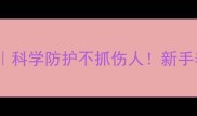 猫咪疫苗全攻略科学防护不抓伤人新手养猫必看指南