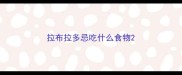 拉布拉多忌吃什么食物