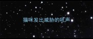 猫咪发出威胁的吼声