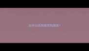 如何训练狗狗用狗厕所