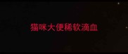猫咪大便稀软滴血