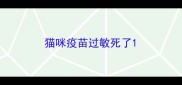 猫咪疫苗过敏死了