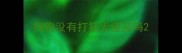 狗狗没有打狂犬疫苗吗