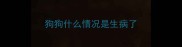 狗狗什么情况是生病了