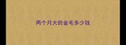 两个月大的金毛多少钱