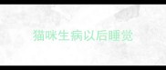 猫咪生病以后睡觉