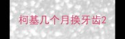 柯基几个月换牙齿