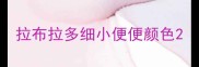 拉布拉多细小便便颜色
