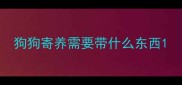 狗狗寄养需要带什么东西