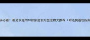 新手必看最受欢迎的10款家庭友好型宠物犬推荐附选狗避坑指南