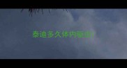 泰迪多久体内驱虫