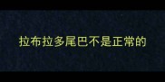 拉布拉多尾巴不是正常的