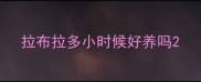 拉布拉多小时候好养吗