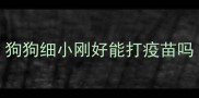 狗狗细小刚好能打疫苗吗
