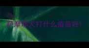 萨摩耶犬打什么疫苗好